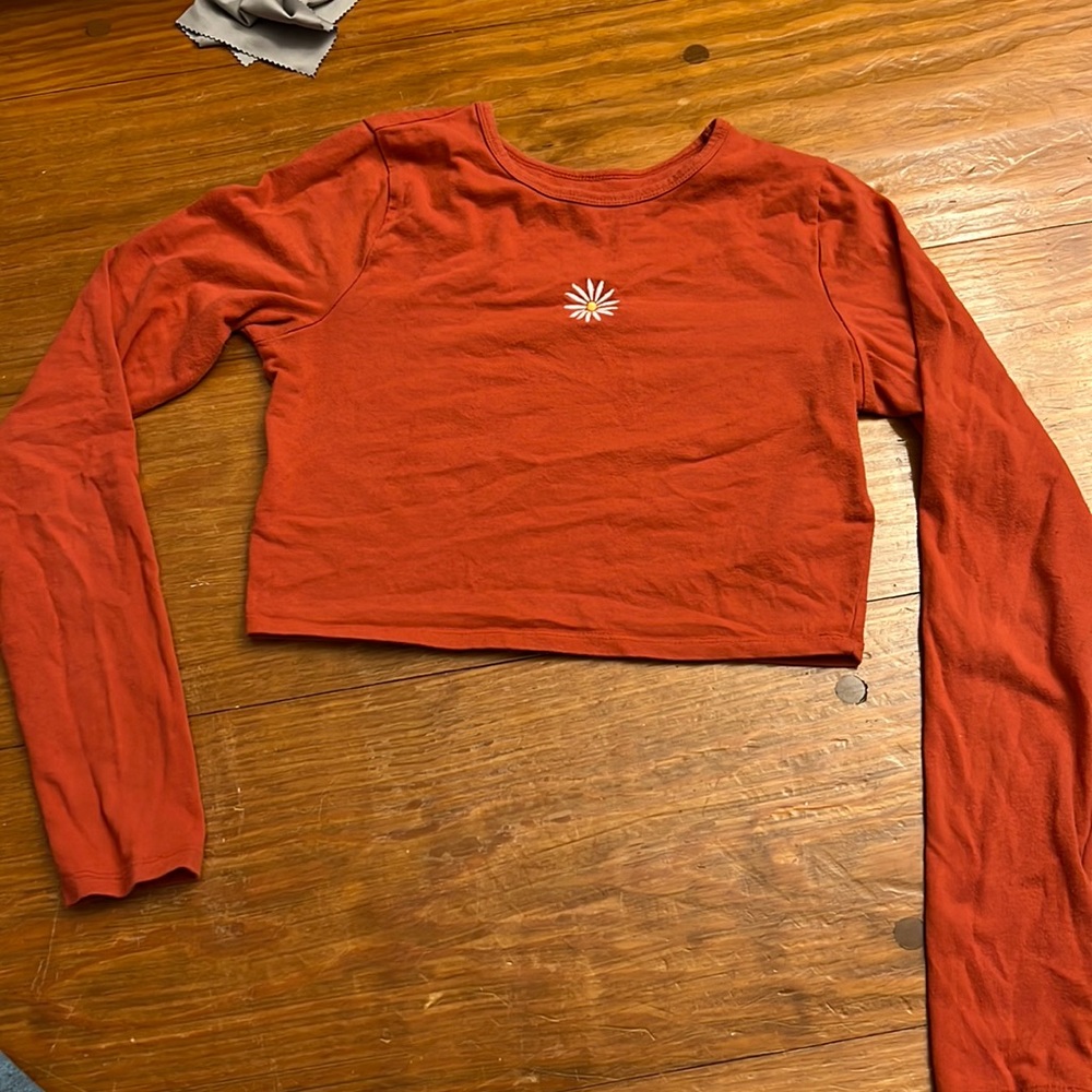 Long Sleeve Daisy Cropped Top - Hollister